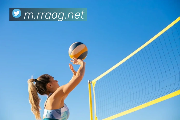 ag官网平台生态图